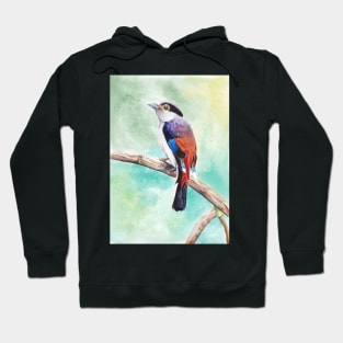 Paradise bird Hoodie